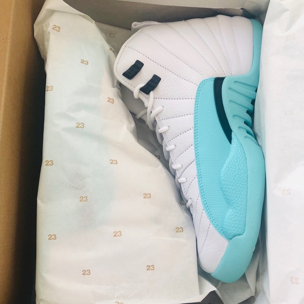 Aqua Jordan 12